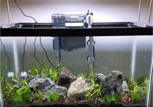 Led Light for Planted Aquarium Timer Dimmer Device for Twinstar 450ea the Planted Tank forum