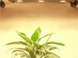 Led Light for Planted Aquarium Ultra Thin Cob Led Plant Grow Light Full Spectrum Blacksun S6 Led