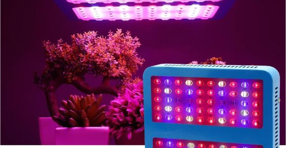 Led Lights for Growing Cannabis Double Chips Led Ir Uv Plant Grow Lights 1000w Full Spectrum Green