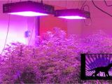 Led Lights for Growing Cannabis Led Light Design Amazing Commercial Led Grow Lights Commercial Led