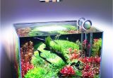 Led Lights for Reef Tank 54w 36w Freshwater Saltwater Aquarium Lighting Marine Reef Aquariums