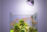 Led Lights for Reef Tank 54w 36w Freshwater Saltwater Aquarium Lighting Marine Reef Aquariums