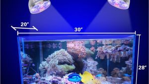 Led Lights for Reef Tank 54w 36w Freshwater Saltwater Aquarium Lighting Marine Reef Aquariums