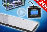 Led Lights for Reef Tank Aliexpress Com Buy 24 36 48 72 96 Smart Marine Aquarium Led