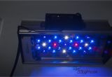 Led Lights for Reef Tank How to Diy Led Reef Led Lights