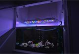 Led Lights for Reef Tank Led Fish Tank Light Garbz Electronics