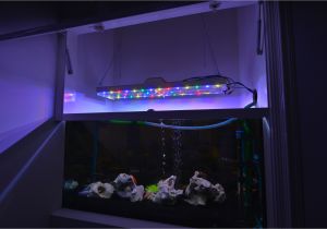Led Lights for Reef Tank Led Fish Tank Light Garbz Electronics