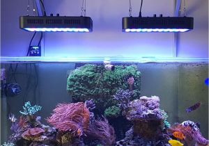 Led Lights for Reef Tank Wifi Control Dimmable Led Aquarium Light 165w Remote Control for