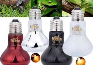 Led Reptile Lights Aliexpress Com Buy Fuxin Pet Ceramic Heating Lamp Infrared for