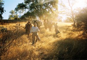 Lentz Landscape Lighting A California Outfitter Leads Horseback Treks Into the Wild Cowboys