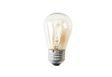 Light Bulbs On A String 24 Ft 12 Bulb Outdoor String Lights