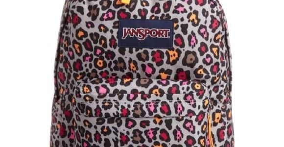 Light Grey Jansport Backpack Amazon Com Jansport Classic Superbreak Backpack Grey Rabbit Lucy
