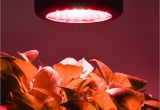 Light Plants for Sale Aliexpress Com Buy New Led Grow Light 50w Mini Ufo Led Plant Grow