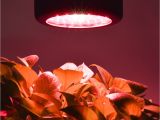 Light Plants for Sale Aliexpress Com Buy New Led Grow Light 50w Mini Ufo Led Plant Grow