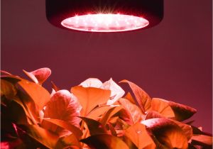 Light Plants for Sale Aliexpress Com Buy New Led Grow Light 50w Mini Ufo Led Plant Grow
