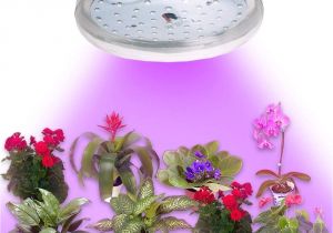 Light Plants for Sale Amazon Com Bonlux Led Grow Light Bulb Red Blue Led Full Spectrum