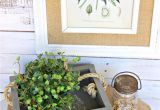 Light Plants for Sale Rummage Sale Box to Ivy Display Piece organizedclutter Net Thrift