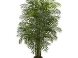 Lighted Palm Tree for Sale Nearly Natural areca Palm Tree In Pot Reviews Wayfair
