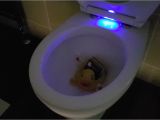 Lighted toilet Seat Illuminated toilet Seat Croydex Youtube