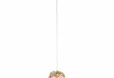 Lighting Stores Denver Fascination 1 Light Mini Pendant Mini Pendant and Products