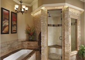 Like Bathtubs Steam Showers for some Home Spa Like Luxury