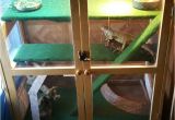 Linoleum Flooring Bearded Dragon A Small Cabinet Turned Into Iguana Cage Bearded Dragon Cage