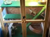 Linoleum Flooring Bearded Dragon A Small Cabinet Turned Into Iguana Cage Bearded Dragon Cage