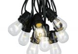 Low Voltage Rope Lighting Vintage String Lights Novelty Lights Inc