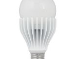 Low Wattage Light Bulbs Feit Electric 16 Watt G19 Medium Base Dimmable soft White Indoor Led