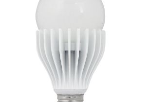 Low Wattage Light Bulbs Feit Electric 16 Watt G19 Medium Base Dimmable soft White Indoor Led