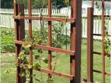 Lowe's Canada Spice Rack Grape Vine Trellis Design Inspirational Garden Fence Grapevine