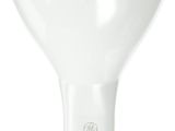 Lunera Susan Lamp Vertical Ge Series Led12g24q V 827 96801 Lamp Bulb Replacement Amazon Com