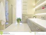 Lyons Bathtubs Bathtub Bathtub and Shower