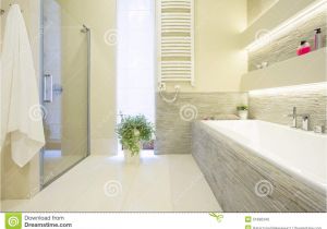 Lyons Bathtubs Bathtub Bathtub and Shower