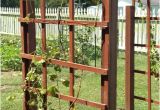 Macy's Round oriental Rugs Grape Vine Trellis Design Inspirational Garden Fence Grapevine