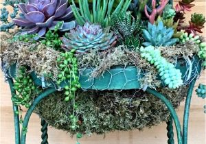 Making Garden Art From Old Dishes Set A Place In the Garden for A Succulent Chair Planter Pinterest
