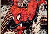 Marvel Comics area Rug 77 Best Landscapes Inspiration Images On Pinterest Spiders