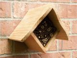 Mason Bee House Plans Bamboo Diamond Mason Bee House Beekeeping Pinterest Mason Bees Bee