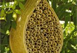 Mason Bee House Plans Bamboo Mason Bee House Mason Bees Gardener S Supply Bamboo Pinterest