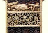 Mason Bee House Plans Mason Bee House Plans solitary Bee Mason Bee House the Chicken Wire