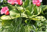 Max Studio Hand Blown Glass Garden Art 1033 Best Yard Art Images On Pinterest Garden Art Garden Deco and