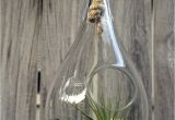 Max Studio Hand Blown Glass Garden Art 8 Best Vidrio soplado Images On Pinterest Blown Glass Chandeliers
