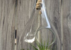 Max Studio Hand Blown Glass Garden Art 8 Best Vidrio soplado Images On Pinterest Blown Glass Chandeliers
