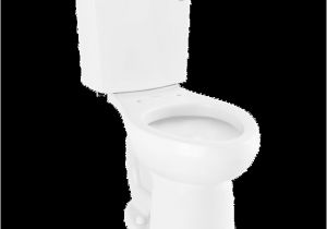 Menards Bathtub Trip Lever H2option Ada Dual Flush Elongated toilet
