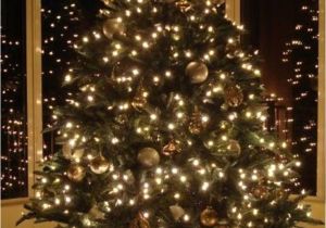 Menards Christmas Lights Diy Xmas Decorations Best Of Wall Decal Luxury 1 Kirkland Wall Decor