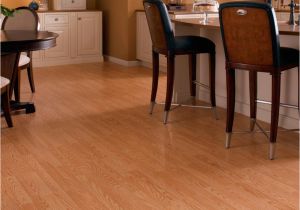 Menards Vinyl Flooring Sale Flooring Appealing Interior Floor Design with Cozy