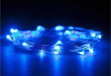 Micro Led Lights Battery Powered Amazon Com Rtgs 20 Blue Color Micro Led String Lights Battery