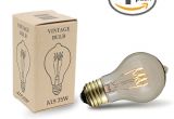Mini Light Bulb socket Buy 25w A19 Vintage Edison Style Filament Bulbs Novelty Lights Inc