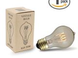 Mini Light Bulb socket Buy 25w A19 Vintage Edison Style Filament Bulbs Novelty Lights Inc