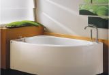 Modern Bathtubs Pictures Neptune Wind 60×36 Contemporary Corner Bath Tub soaker No